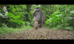 捉妖记笨笨图片,一场视觉与想象的盛宴