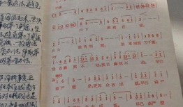 新生日记背景歌曲,青春旋律下的成长篇章