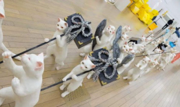 娱乐吃瓜君打底裤,揭秘打底裤界的时尚潮流与趣味故事