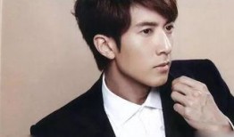 最帅的明星排行榜