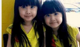 双胞胎网红,双生花下的网络传奇