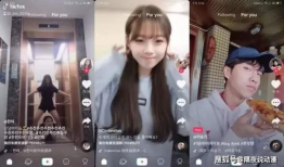 娱乐吃瓜酱虐猫博主小说,娱乐吃瓜酱的悬疑小说揭秘