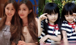 双胞胎网红,双生花下的网络传奇