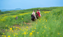 春光明媚图片,春日暖阳下的生机盎然