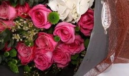 玫瑰大众娱乐,打造多元化娱乐盛宴