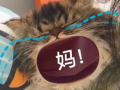 宝贝叫妈妈的表情包
