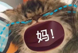 宝贝叫妈妈的表情包