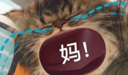 宝贝叫妈妈的表情包