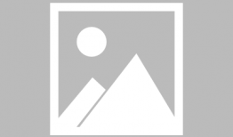 米丁资料,揭秘科技巨头背后的创新力量