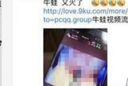 牛蛙女主播 下载