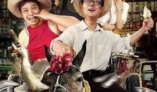 网红浩南电影名字,网红传奇，光影交织的青春岁月