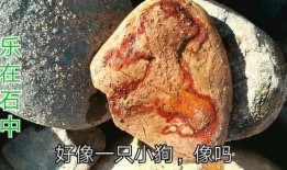 网红-石头