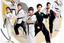 旋风少女2演员表介绍,青春热血，青春飞扬！