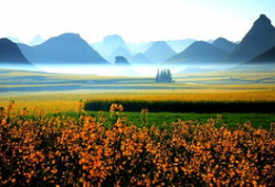 春光明媚图片,春日暖阳下的生机盎然