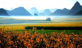 春光明媚图片,春日暖阳下的生机盎然