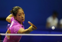 乒乓球刘诗文个人资料,天赋与努力的完美结合