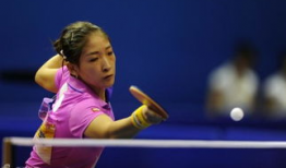 乒乓球刘诗文个人资料,天赋与努力的完美结合