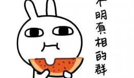 娱乐吃瓜酱分手语录搞笑,笑料百出，揭秘明星分手背后的搞笑瞬间