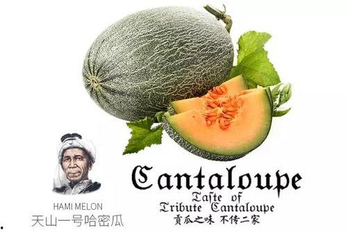 娱乐吃瓜配乐推荐一下,盘点热门配乐推荐